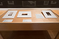 The Huntington Library - Exhibition: A World of Strangers: Crowds in American Art